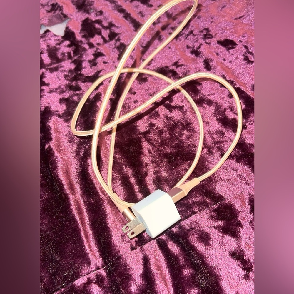 4 foot lightning charger